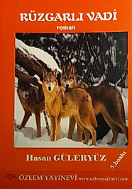 Hasan Güleryüz / Rüzgarlı Vadi / Özlem Yayınevi